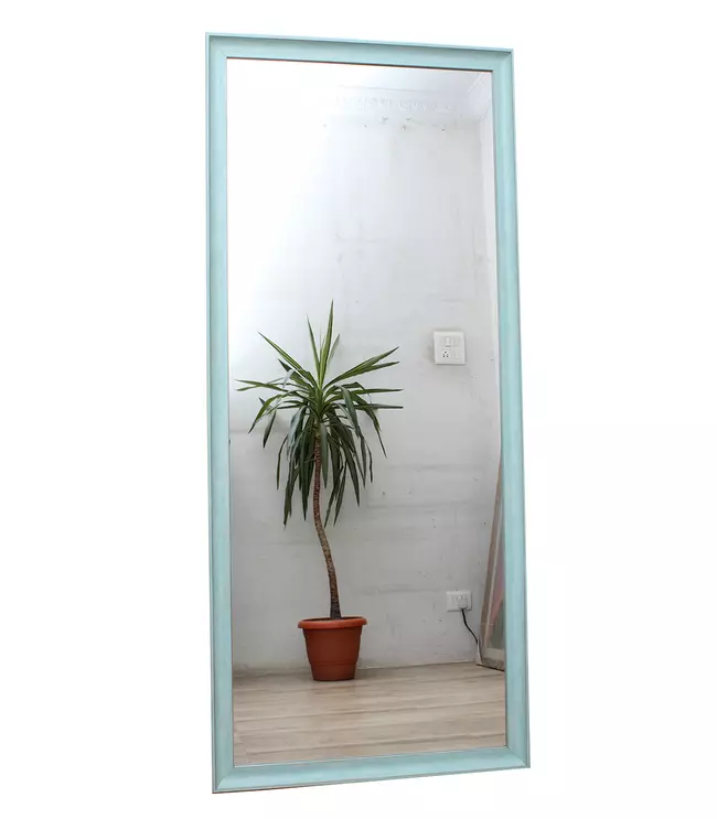 2 x 5 Feet Teal Framed Large Mirror