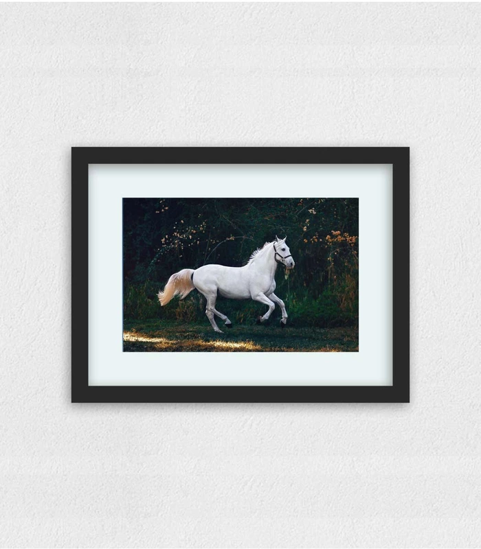 Running White Horse Print and Frame Arts, Frames, Mirrors.